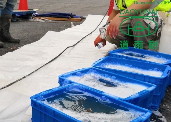 Inversion CIPP Liner Trenchless Technology Training Repair From Damage Film To Protect